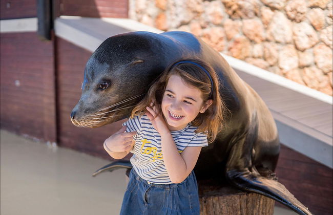 Marineland Mallorca - Foto 8