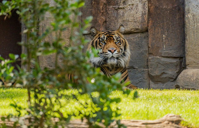 Bioparc Fuengirola - Foto 4