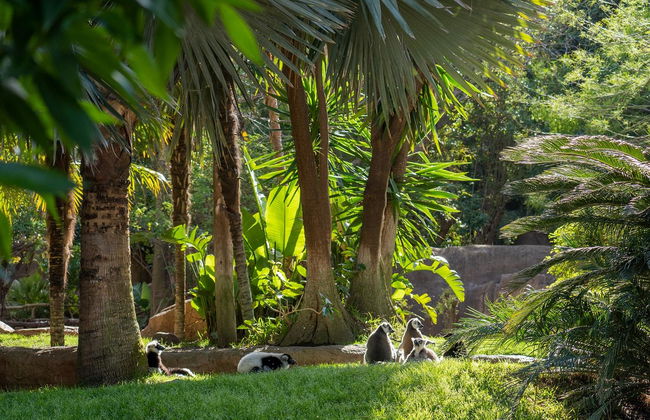 Bioparc Fuengirola - Foto 10