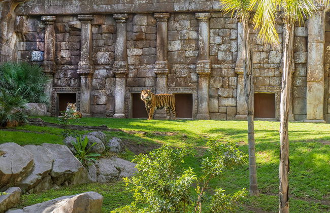 Bioparc Fuengirola - Foto 11