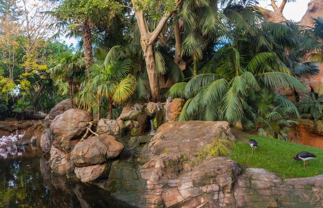 Bioparc Fuengirola - Foto 9