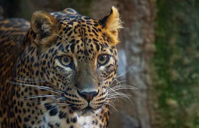 Bioparc Fuengirola - Photo 1
