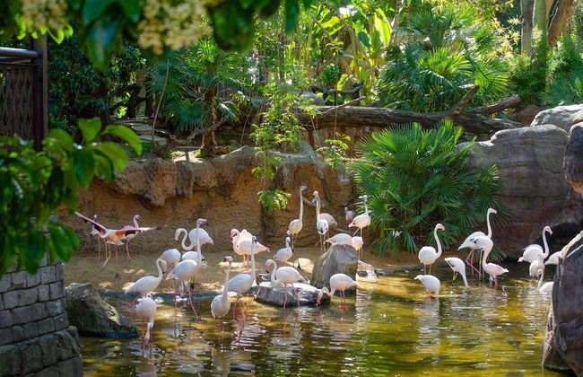 Bioparc Fuengirola - Foto 3