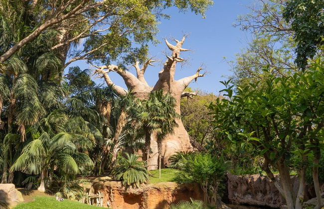 Bioparc Fuengirola - Foto 5
