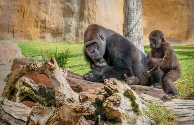 Bioparc Fuengirola - Photo 21