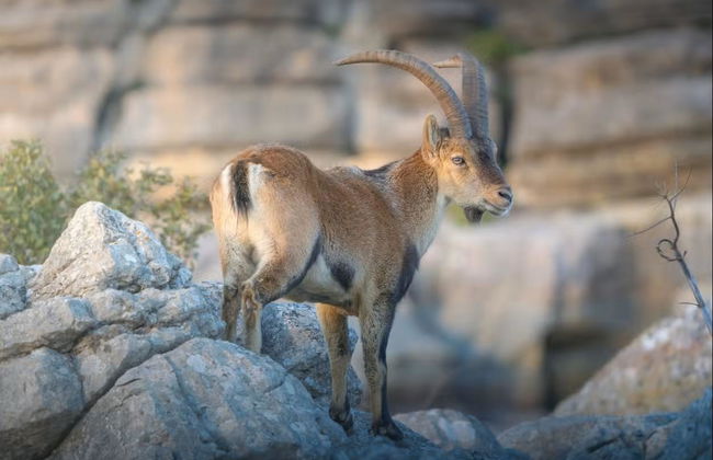 Excursão aos Dólmens de Antequera e El Torcal - Foto 3