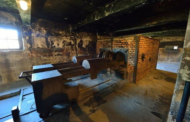 Excursión a Auschwitz-Birkenau desde Cracovia - Foto 4