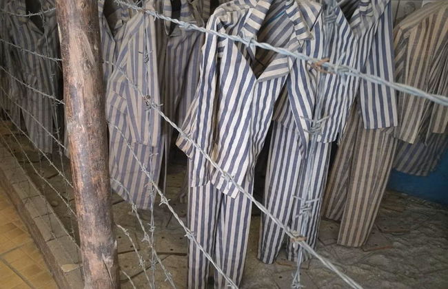 Excursión a Auschwitz-Birkenau desde Cracovia - Foto 5