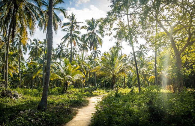 Excursión al Parque Tayrona - Foto 5