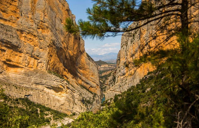 Congost de Mont-Rebei Excursion - Photo 2