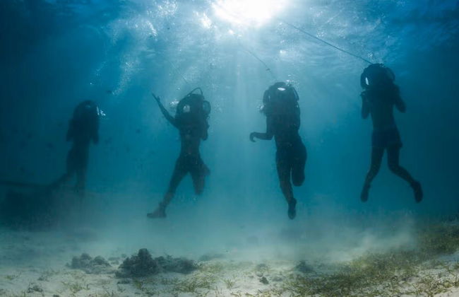 Sea walker en Isla Mauricio - Foto 2