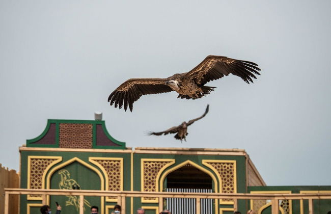 Puy du Fou España - Photo 13