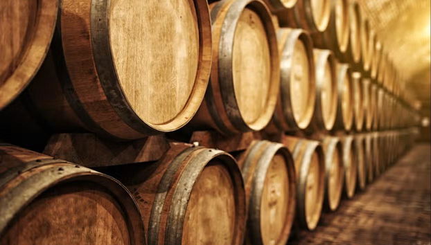 Visita guiada por las Bodegas Barbadillo - Foto 2