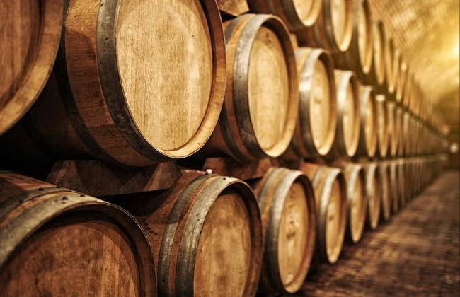 Visita guiada por las Bodegas Barbadillo - Foto 2