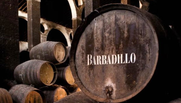 Visita guiada por las Bodegas Barbadillo - Foto 4