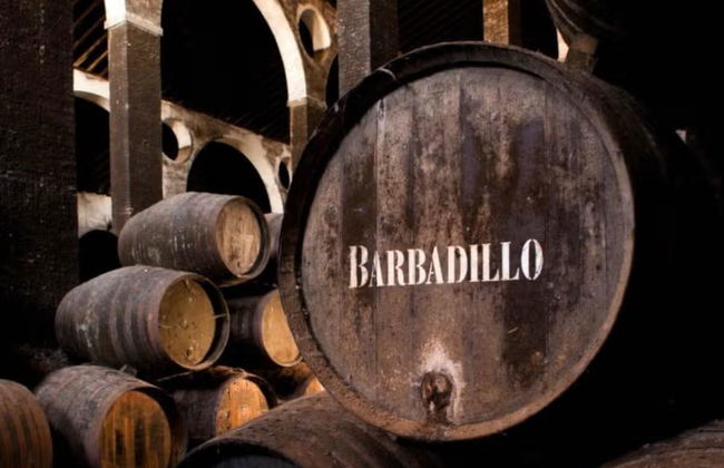 Visita guiada por las Bodegas Barbadillo - Foto 4