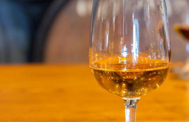 Visita guiada por las Bodegas Barbadillo - Foto 3