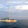 Catamaran Ride Through the Bay of Malaga