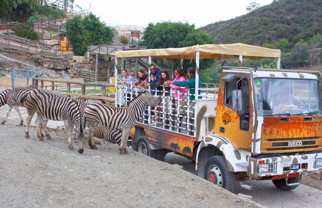Selwo Aventura - Estepona - Photo 11