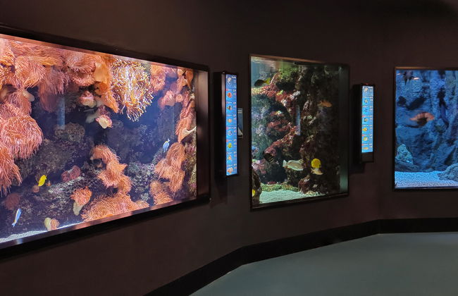 Gijón Aquarium - Photo 3