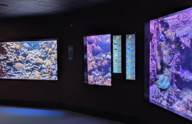 Gijón Aquarium - Photo 4