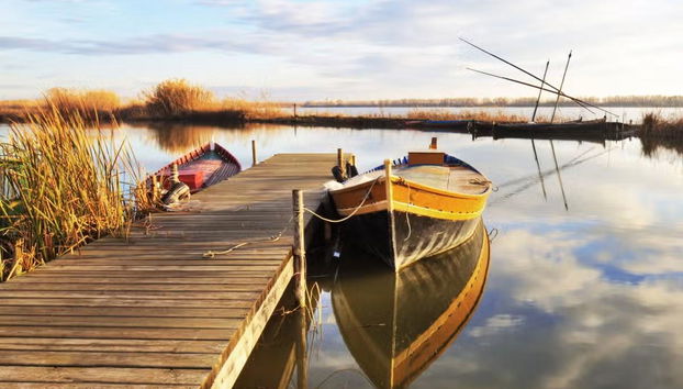 Excursión a La Albufera - Foto 4
