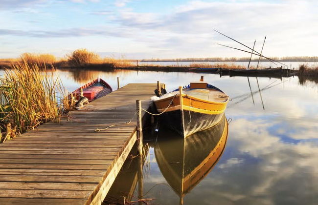 Excursión a La Albufera - Foto 4