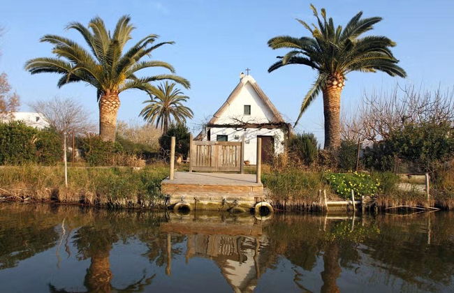 Excursión a La Albufera - Foto 1