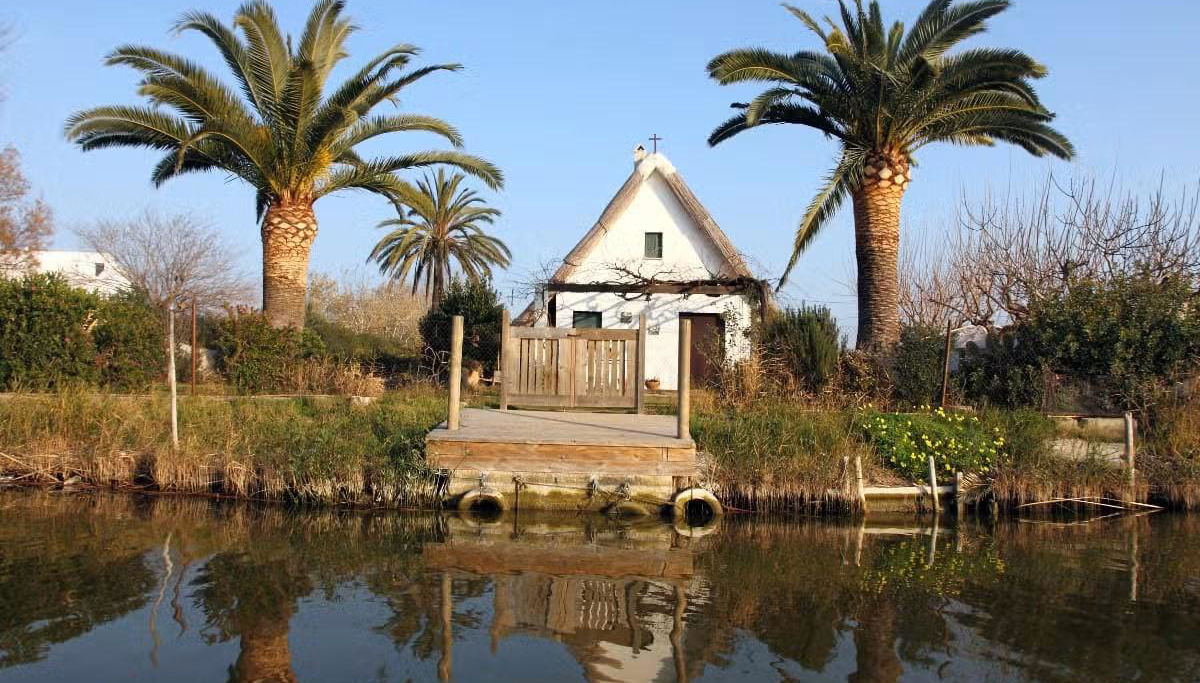 Excursión a La Albufera - Foto 1