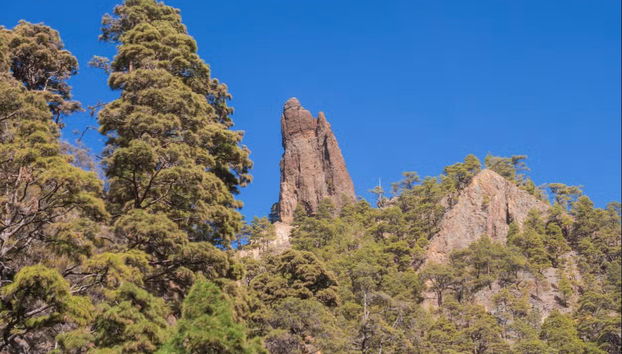 Senderismo por la Caldera de Taburiente - Foto 2