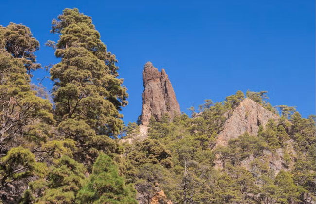 Senderismo por la Caldera de Taburiente - Foto 2