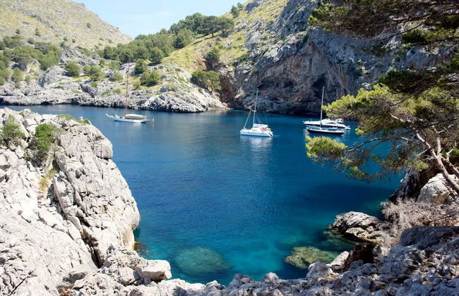 Train to Sóller and Sa Calobra Cruise - Photo 6