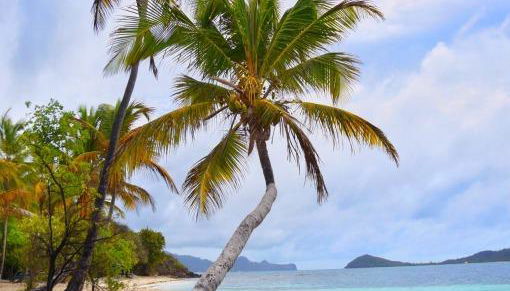 Caraïbes eSIM - Photo 2