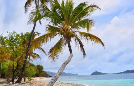 Caraïbes eSIM - Photo 2