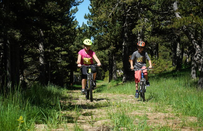 Naturland - Foto 5