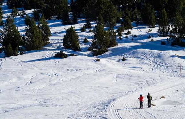 Naturland - Photo 10