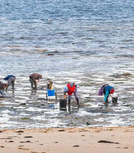 Foto de Free tour de las mariscadoras de Villagarcía de Arosa