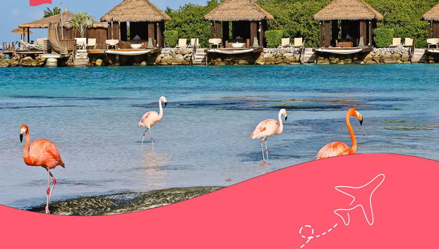 Aruba eSIM - Photo 3