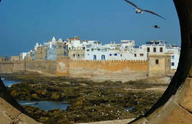 Escursione a Essaouira - Foto 7