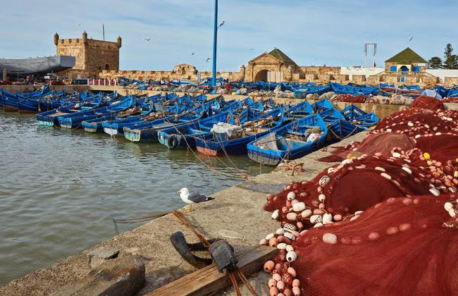 Escursione a Essaouira - Foto 1