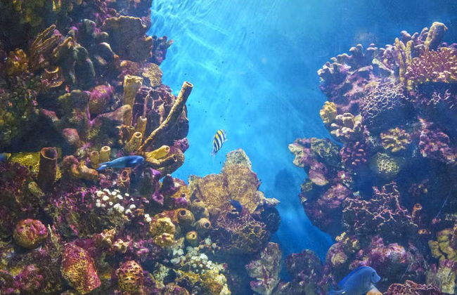 L’Aquàrium de Barcelona - Foto 5