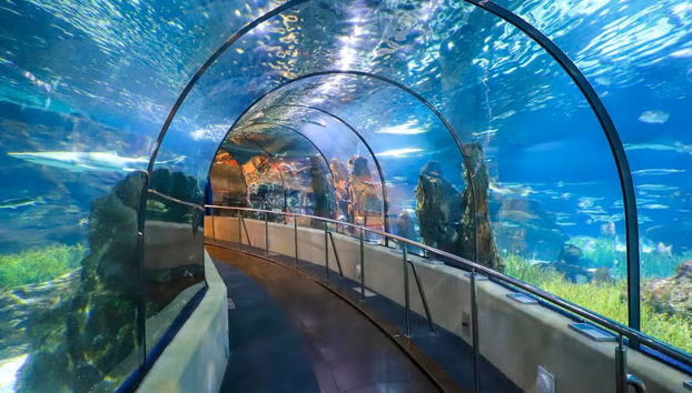 L’Aquàrium de Barcelona - Foto 2