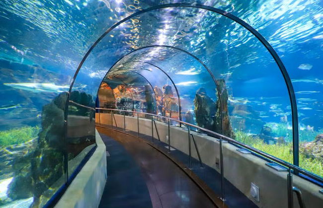 L’Aquàrium de Barcelona - Foto 2