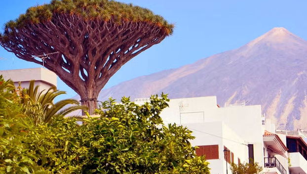 Biglietti per il Parco del Drago Millenario - Foto 5