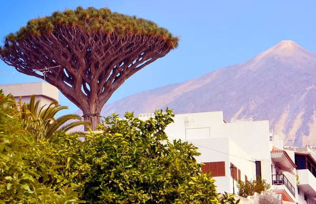 Biglietti per il Parco del Drago Millenario - Foto 5