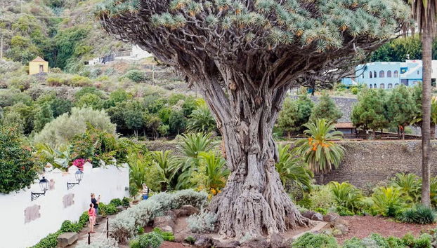 Biglietti per il Parco del Drago Millenario - Foto 4