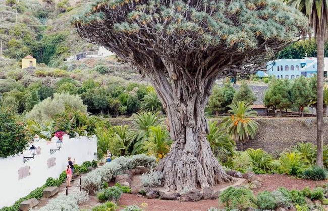 Biglietti per il Parco del Drago Millenario - Foto 4