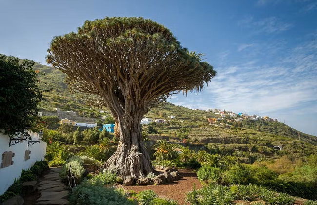 Biglietti per il Parco del Drago Millenario - Foto 1