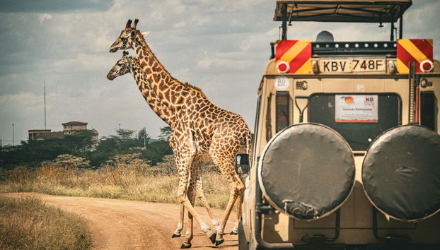 Africa esim - Photo 2