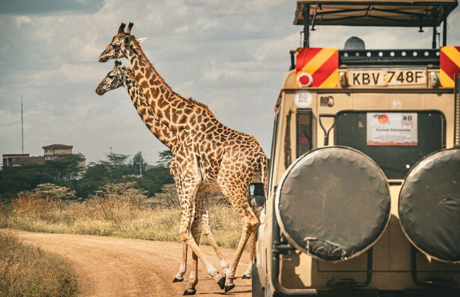 Africa esim - Photo 2